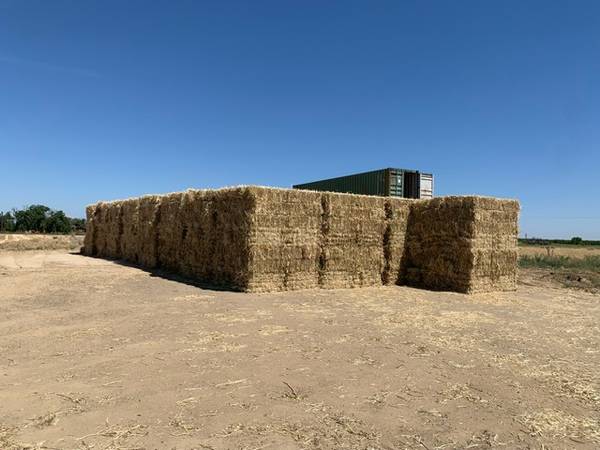 3 Grain Hay 1