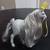 Toy Grey Horse with Neigh Sounds 3 thumbnail