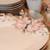Azalea pattern dishware 1 thumbnail