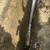 PITTSBURGH #1 PLUMBING COMPANY  beat any price guarantee 20 thumbnail