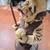 Resin Statue Pool Player Décor Lamp 2 thumbnail