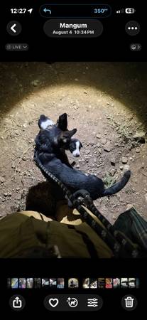 GSD 1
