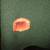 WOOLRICH SWEATER JACKET 6 thumbnail
