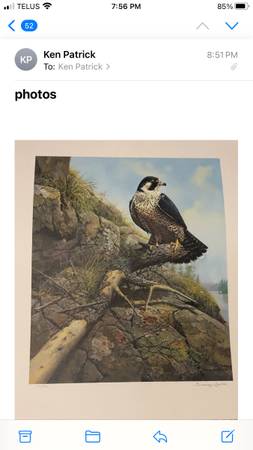 River Watch by Seery Lester 1