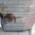 1966 FORD MUSTANG FUEL TANK 1 thumbnail