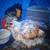 Chickens 3 thumbnail