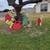 Various yard art pieces/packages 14 thumbnail