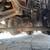 FORD F550 MASON DUMP- V-8 BulletProofed Diesel, 4x4 Auto, Tool Boxes 13 thumbnail