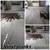 DANH HARDWOOD FLOOR & TILE SERVICES, INC 857-707-9206 6 thumbnail