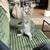 9 week old kitten 3 thumbnail