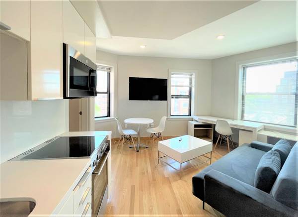 $3,300 / 1br - 456ft2 - Renovated unit right in Harvard ✨IN UNIT LAUNDRY✨pets ok 🐶😺 (Cambridge \ Harvard Sq. \ Harvard Sq.)63996547535491121