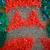 🎅🏻CHRISTMAS POPCORN MELTED PLASTIC DECORATIONS – LOT OF 8 8 thumbnail