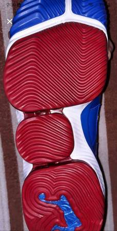 LeBron Nike Shoes - $100 (Fort Wayne)