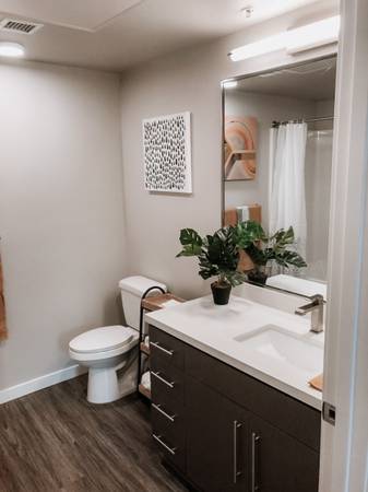 $1,750 / 1br - 713ft2 - 👑Elegant 1BR Apartment 💎 Park Place Perfection Awaits! 🔥 (Richland)63697282601985120
