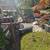 Huge Vintage Yard Sale! Pink Signs • Bell Rd Auburn • Sat. 10/18 19 thumbnail