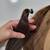 💎 HAIR EXTENSIONS – INSTALL | CUT | COLOUR | EDUCATION | WHOLESALE SU 7 thumbnail