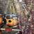 Monster Ludwig Drum Set BEAUTIFUL! 8 thumbnail