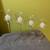 Brand New Set of FOUR Candle Holders and Candles 1 thumbnail