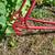 Vintage Trek frame lugged steel 24" 60cm new paint 3 thumbnail