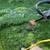 Lawn Mowing ☮️🕊️🌱🍃🌿 Prosperity Services 6 thumbnail