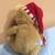 Gund Holiday Santa Teddy Bear Super Plush Soft Brand New Stuffed Anima 3 thumbnail