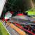 Mountain Sleds Summer Deal 7 thumbnail