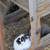 Rehoming our farm rabbits 3 thumbnail
