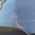 BMW F650GS F700GS F800GS Windshield 4 thumbnail