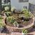 Landscaping installation 13 thumbnail