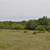 10.02 Acres for Sale 5 thumbnail
