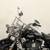 2016 HARLEY DAVIDSON ROAD KING 2 thumbnail