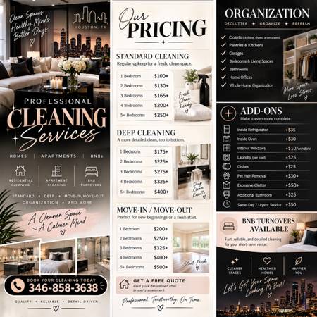 Professional cleaning services 1