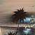 Framed Tropical Night Scene Painting by Luz R.D. 6 thumbnail