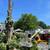 landscape/ tree work/ junk removal 12 thumbnail