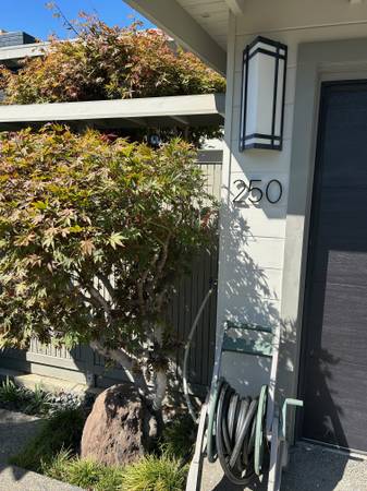 $1,650 / 1br - 600ft2 - Garden Basement 1 Bedroom Apartment in a Private Residence (vallejo / benicia)63695858915457120