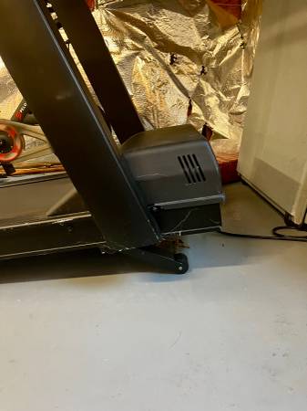 🏃‍♂️ Landice L7 Pro Sports Treadmill – Heavy-Duty Commercial Grade - $60063471266731139123