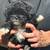Shitzu Poodle mix = Shitzupoo 7 thumbnail