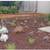 Fair Price Landscape Installation &Concrete Service &Yard Maintenance 10 thumbnail