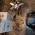 Lot of RC Quadcopters 4 thumbnail