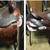 SADDLE & TACK  REPAIRS - CLEAN- RESTORE - RETAIL- Custom, Manufacturer 1 thumbnail