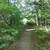 Prime Hunting Property and Cabin 12 thumbnail