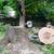 Tree removal 4 thumbnail