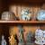 jumbo room 20 ft high in  ceiling forest nr Irvine Spectrum handyman welcom 5 thumbnail