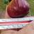 Fig Trees 1 thumbnail