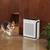 Assistant Videographer and Sound PA needed for Air Purifier Shoot 2 thumbnail