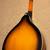 ROGUE A-STYLE MANDOLIN RM-100A W/NEW STRINGS 8 thumbnail