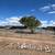 6403 Lear Lane 1 thumbnail