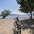 Gotrax E-Bike 1 thumbnail