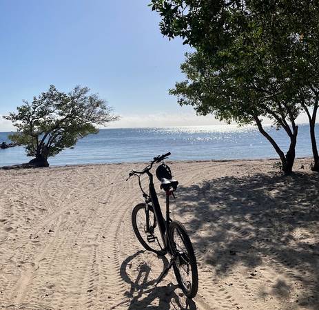 Gotrax E-Bike 1