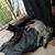 Kittens need loving homes 6 thumbnail